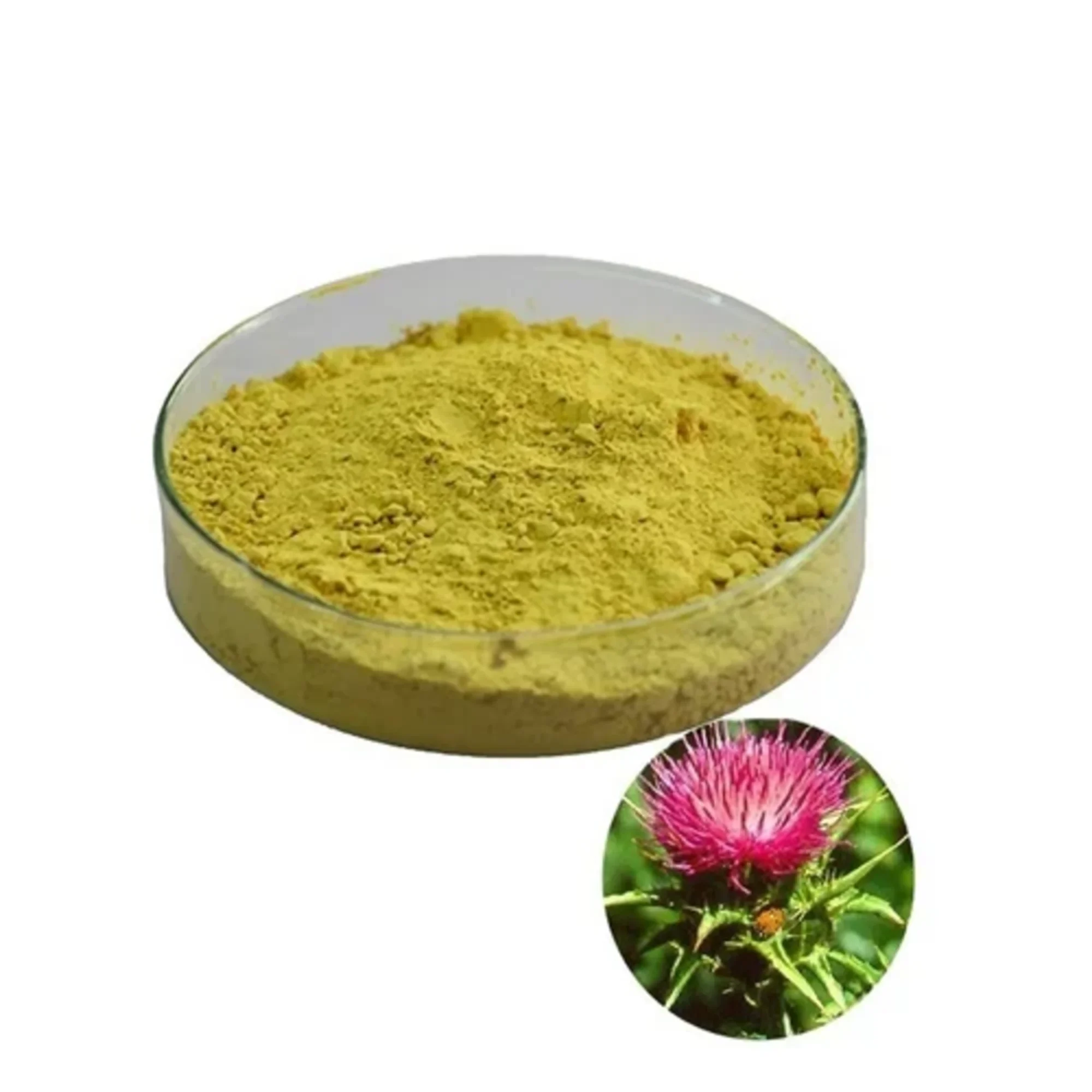 Silymarin Extract 80% UV